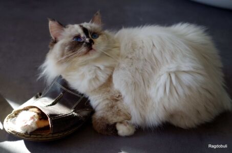 C'est le pied !