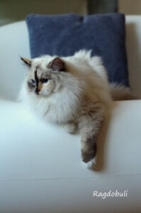 j'ai 7 mois !