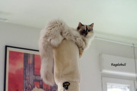 c'est mon Everest !