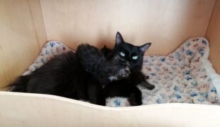 View Le mariage inédit d'Uzélie !