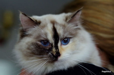 happy birthday pour tes un an !