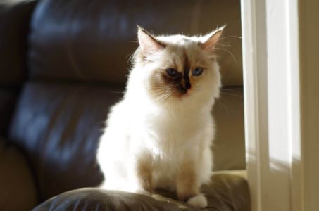 Bienvenue en France !!