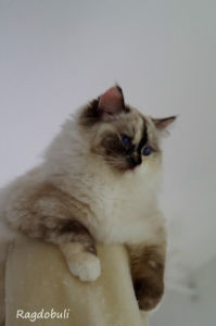 je suis belle et je le sais !